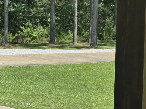 Exterior - 190 Deerwood Xing, Canton, MS 39046 photo 10 of 12