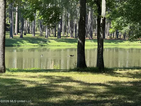 View/Area - 190 Deerwood Xing, Canton, MS 39046 photo 2 of 4
