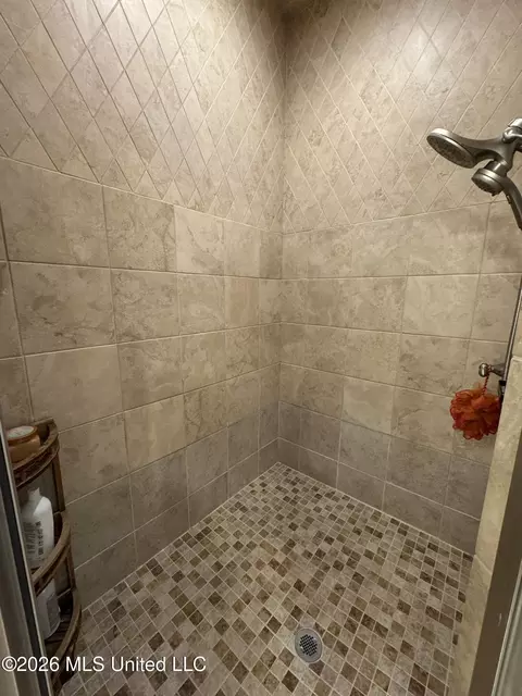 Bath - 190 Deerwood Xing, Canton, MS 39046 photo 3 of 6