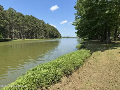 View/Area - 190 Deerwood Xing, Canton, MS 39046 photo 3 of 4