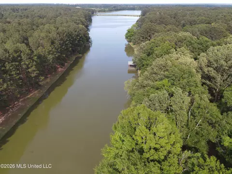 View/Area - 190 Deerwood Xing, Canton, MS 39046 photo 4 of 4