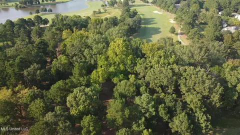 Annandale Drive, Madison, MS 39110 photo 3