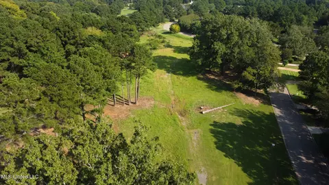 Annandale Drive, Madison, MS 39110 photo 12