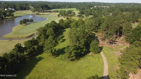Annandale Drive, Madison, MS 39110 photo 17