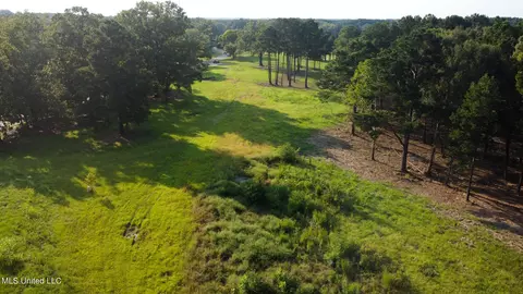Annandale Drive, Madison, MS 39110 photo 6