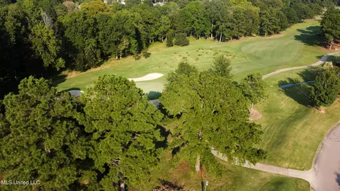 Annandale Drive, Madison, MS 39110 photo 5