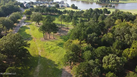 Annandale Drive, Madison, MS 39110 photo 4