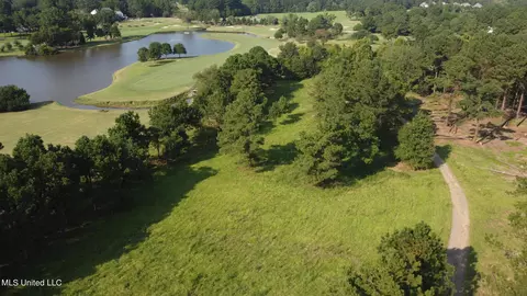 Annandale Drive, Madison, MS 39110 photo 10