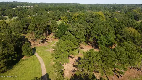 Annandale Drive, Madison, MS 39110 photo 16