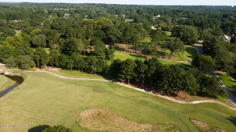 Annandale Drive, Madison, MS 39110 photo 8