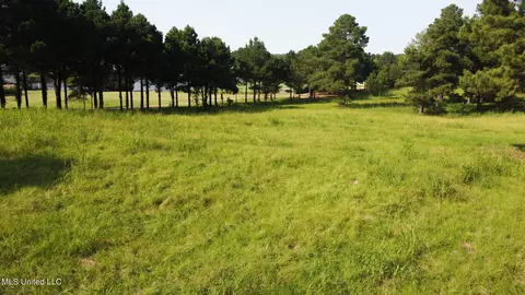 Annandale Drive, Madison, MS 39110 photo 15