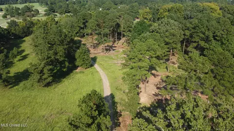 Annandale Drive, Madison, MS 39110 photo 11