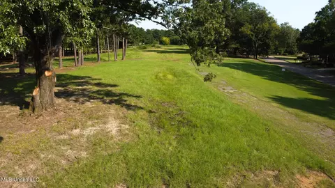 Annandale Drive, Madison, MS 39110 photo 13