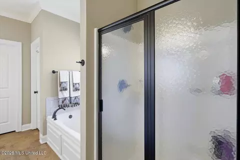 Bath - 820 Emmas Way, Brandon, MS 39042 photo 1 of 2