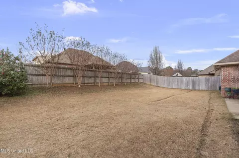 Exterior - 910 Abundance Xing, Flowood, MS 39232 photo 9 of 10