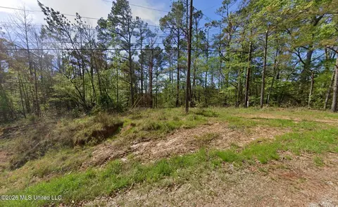 50 County Road 521, Como, MS 38619 photo 2