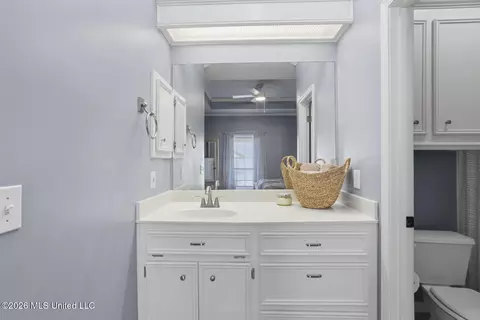 Bath - 233 Mallard Dr, Brandon, MS 39047 photo 1 of 4