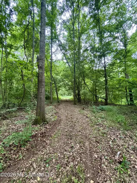 8119 Dry Grove Rd, Raymond, MS 39154 photo 20