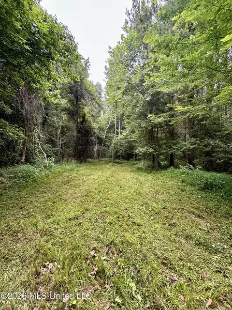 8119 Dry Grove Rd, Raymond, MS 39154 photo 2