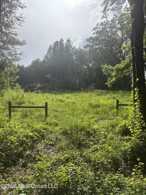 8119 Dry Grove Rd, Raymond, MS 39154