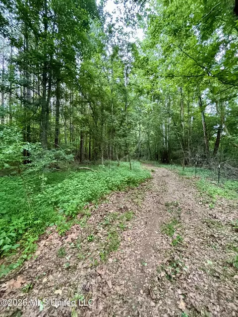 8119 Dry Grove Rd, Raymond, MS 39154 photo 34