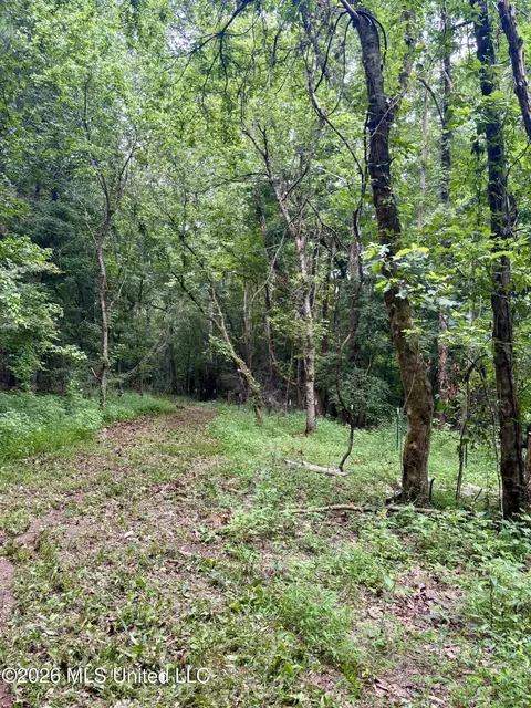 8119 Dry Grove Rd, Raymond, MS 39154 photo 7