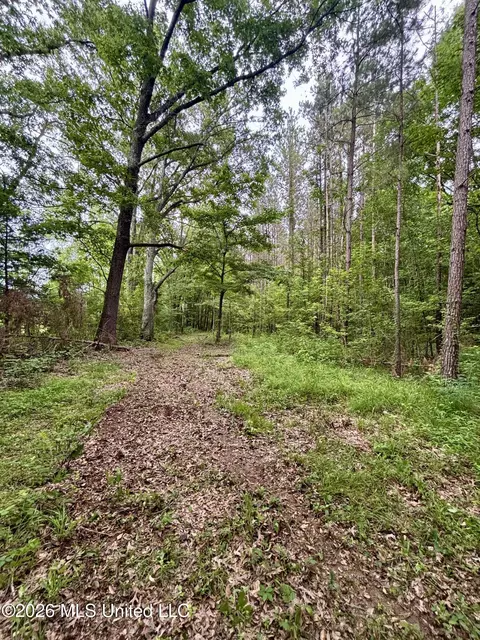 8119 Dry Grove Rd, Raymond, MS 39154 photo 17