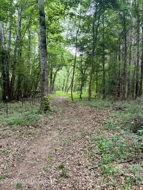 8119 Dry Grove Rd, Raymond, MS 39154 photo 36