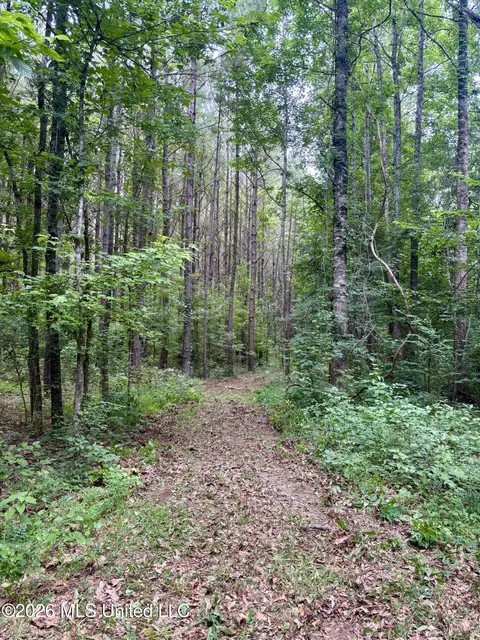 8119 Dry Grove Rd, Raymond, MS 39154 photo 8