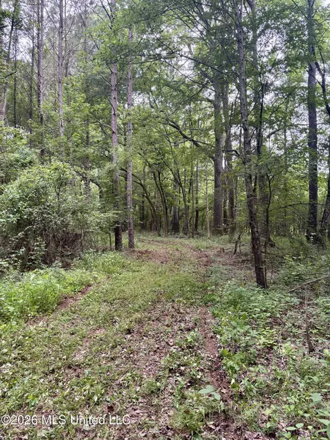8119 Dry Grove Rd, Raymond, MS 39154 photo 18