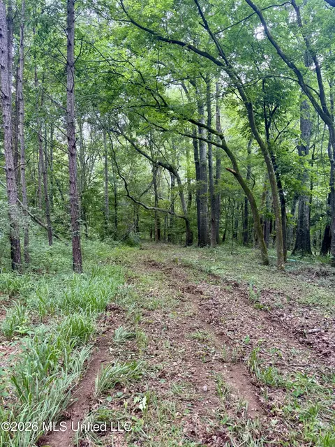 8119 Dry Grove Rd, Raymond, MS 39154 photo 45