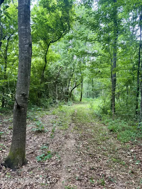 8119 Dry Grove Rd, Raymond, MS 39154 photo 11