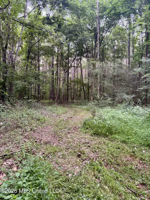 8119 Dry Grove Rd, Raymond, MS 39154 photo 32