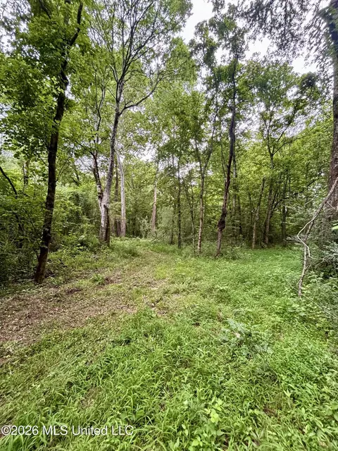 8119 Dry Grove Rd, Raymond, MS 39154 photo 12