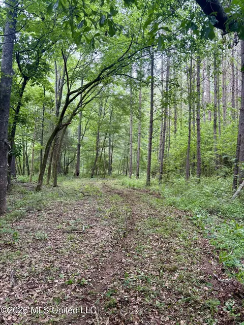 8119 Dry Grove Rd, Raymond, MS 39154 photo 15