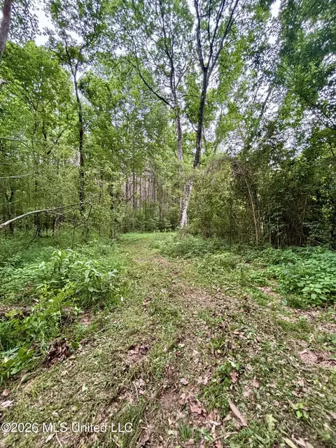 8119 Dry Grove Rd, Raymond, MS 39154 photo 19