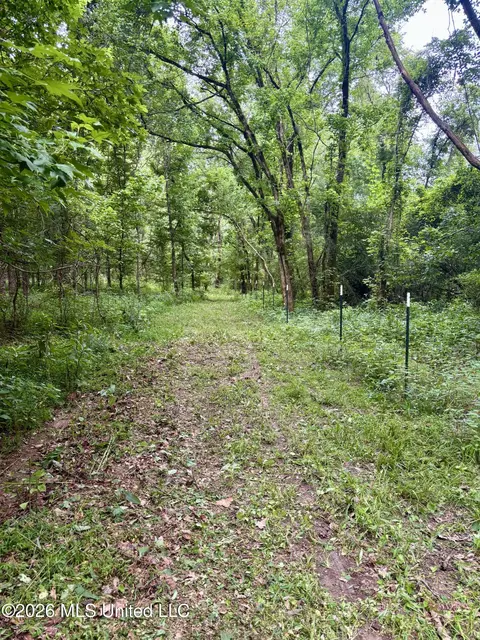 8119 Dry Grove Rd, Raymond, MS 39154 photo 25