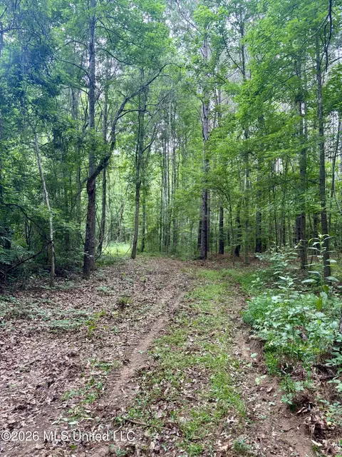 8119 Dry Grove Rd, Raymond, MS 39154 photo 9