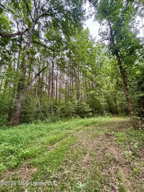 8119 Dry Grove Rd, Raymond, MS 39154 photo 44