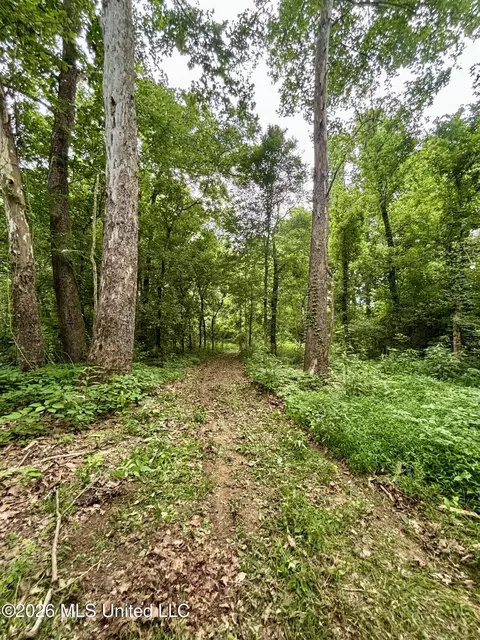 8119 Dry Grove Rd, Raymond, MS 39154 photo 13