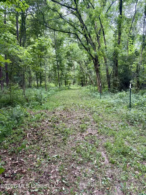 8119 Dry Grove Rd, Raymond, MS 39154 photo 3