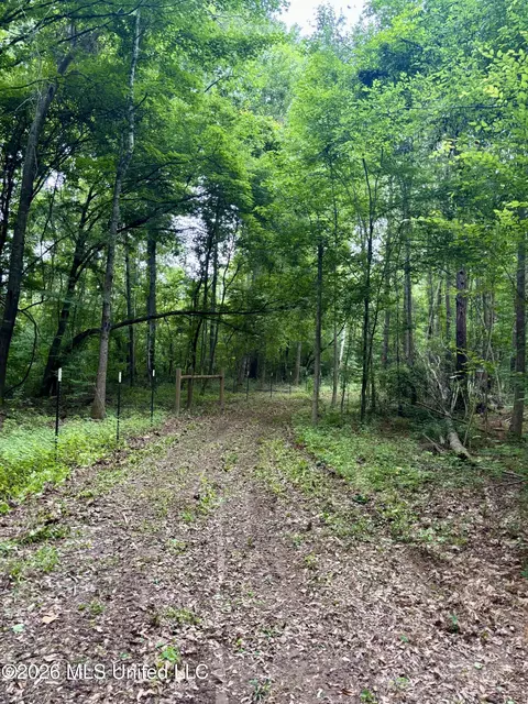 8119 Dry Grove Rd, Raymond, MS 39154 photo 30