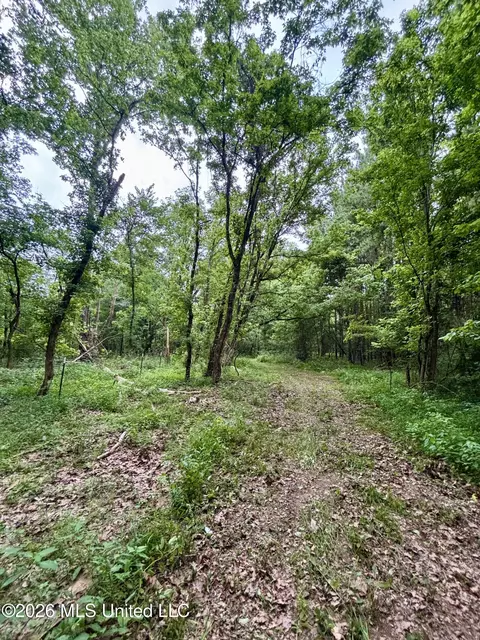 8119 Dry Grove Rd, Raymond, MS 39154 photo 33