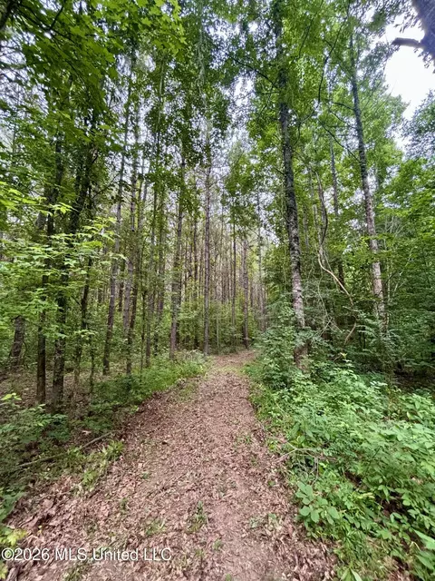 8119 Dry Grove Rd, Raymond, MS 39154 photo 22