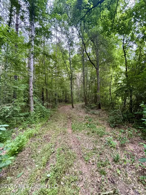 8119 Dry Grove Rd, Raymond, MS 39154 photo 42