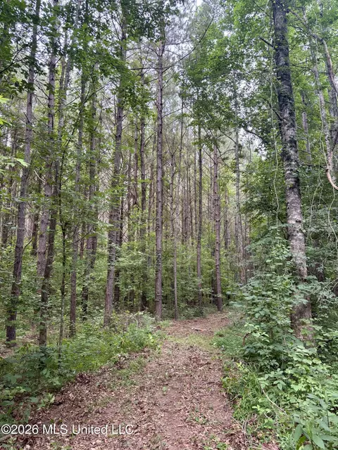 8119 Dry Grove Rd, Raymond, MS 39154 photo 23