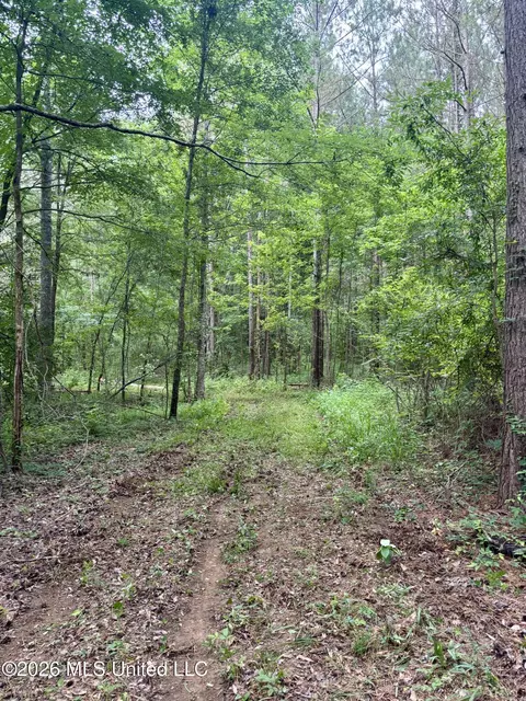 8119 Dry Grove Rd, Raymond, MS 39154 photo 16