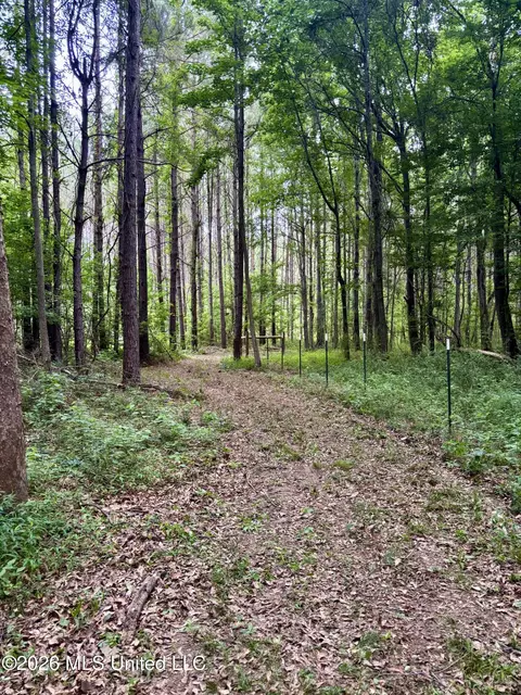 8119 Dry Grove Rd, Raymond, MS 39154 photo 35