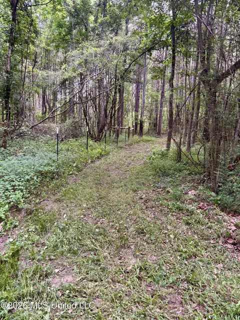 8119 Dry Grove Rd, Raymond, MS 39154 photo 37