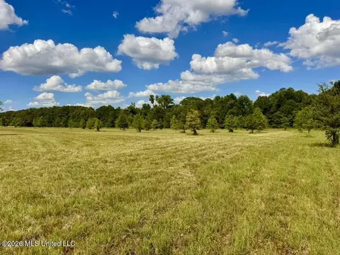 0014 Windermere Blvd, Madison, MS 39110 photo 5